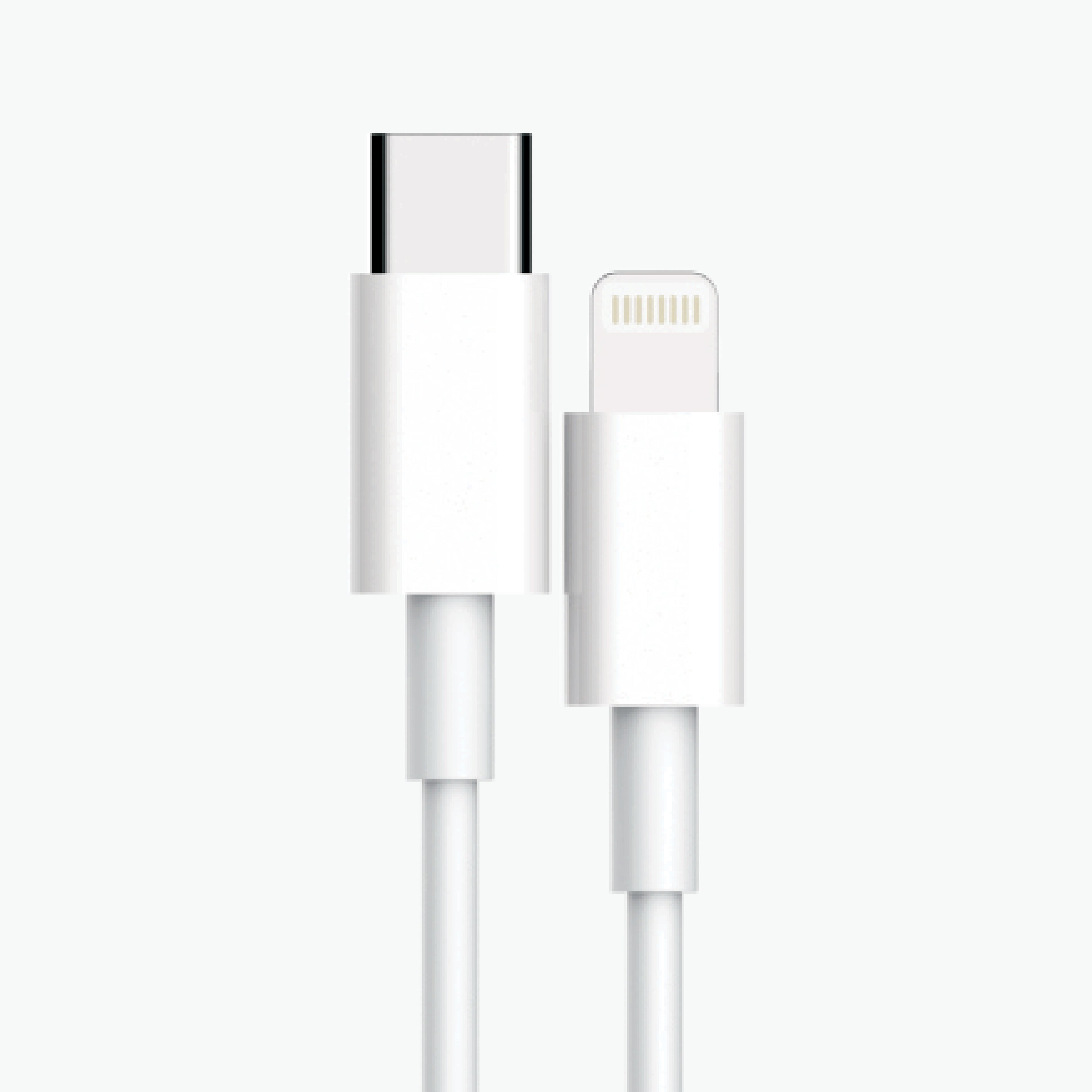 XASTON MFI CERTIFIED CHARGER WITH CABLE NI15